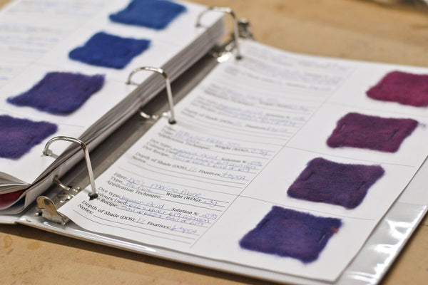 Notebook with dye swatches