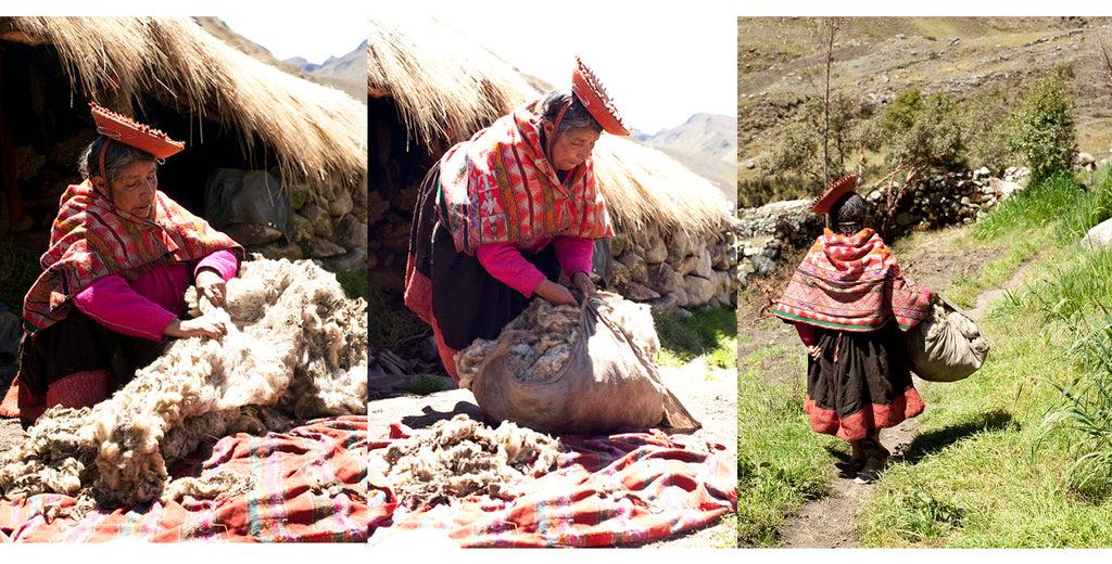 Preparing alpaca fleece to take to market in Peru