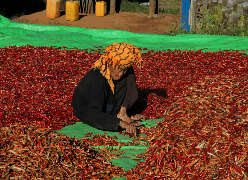 southeast-asia-chilis