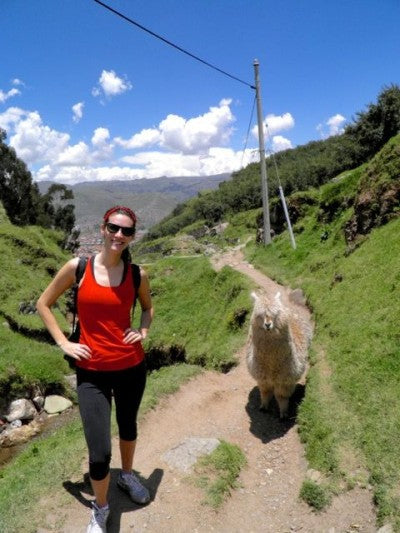 A photogenic alpaca on the way to Sacsayhuaman!