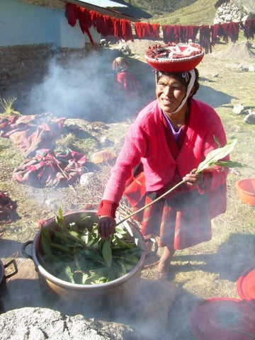 LATA is supporting native plant dying workshops, such as this one in Chupani. (photo by A.Haigler)