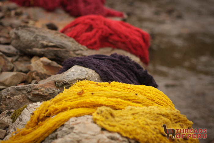 Yellow, purple, and red wools lie by a riverside to dry during the workshop