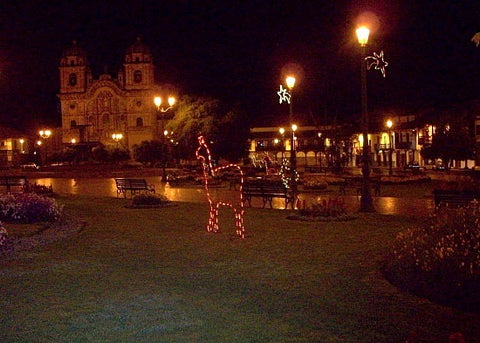 The Plaza at night, lit up with the Christmas decorations!