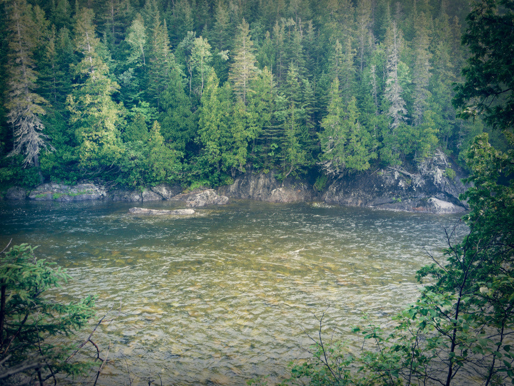 Cap-Chat Gaspe Atlantic Salmon