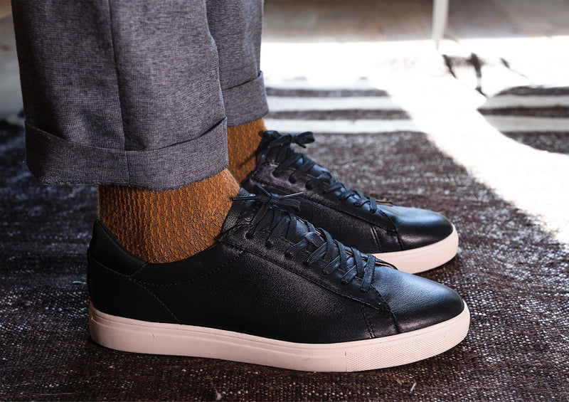 clae bradley essentials