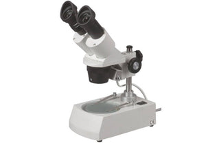 SE306R-P立体声显微镜20x  -  40x