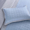 Pigeon Blue