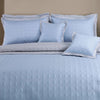 Pigeon Blue