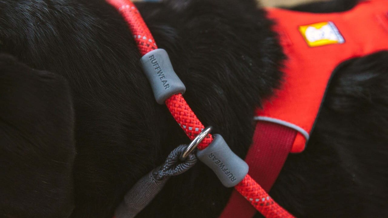 Ruffwear Just-a-Cinch Leash
