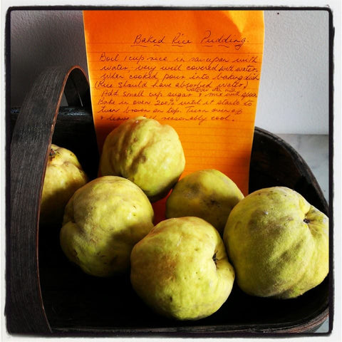 Heirloom recipes quinces