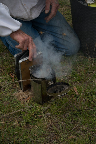 Ted Lowick bellowing the smoker, fuelled by apple gum bark, to let the bees know we are around.