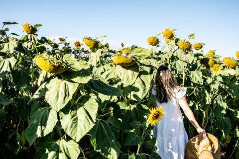 The Plains Sunflower Trail, Odgers and McClelland Exchange Stores