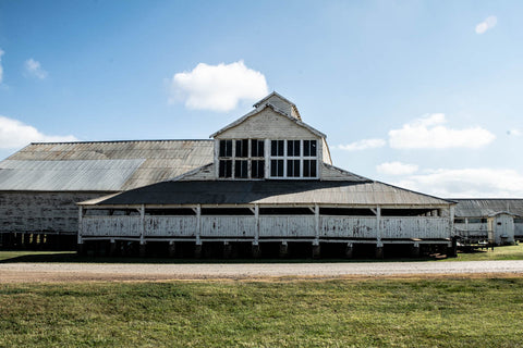 The Plains Sunflower Trail, Odgers and McClelland Exchange Stores