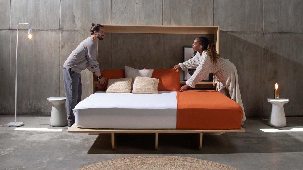 companions on a murphy bed in Calgary