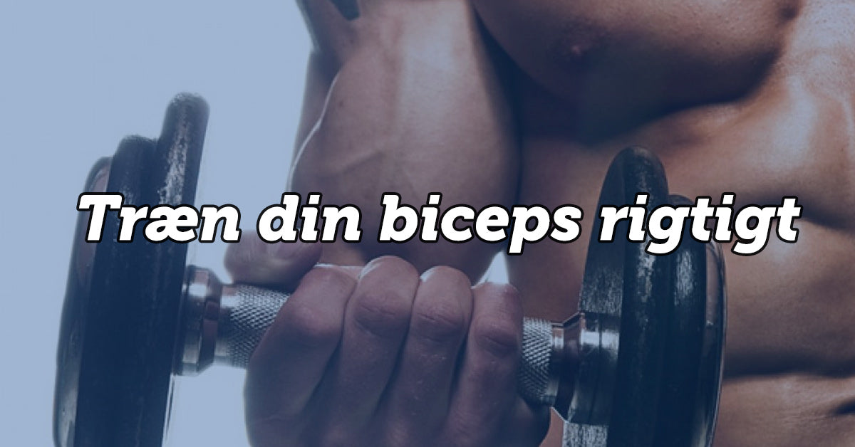 biceps træning