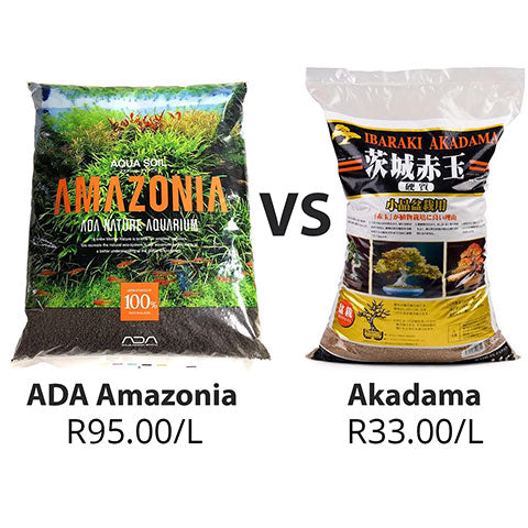 Akadama: A shrimp breeders ideal? - Bonsai Tree (Pty) Ltd.