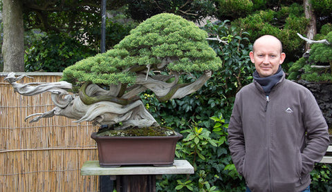 Juniper bonsai kimura garden Terry Erasmus