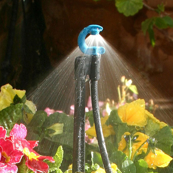 spray irrigation for bonsai trees