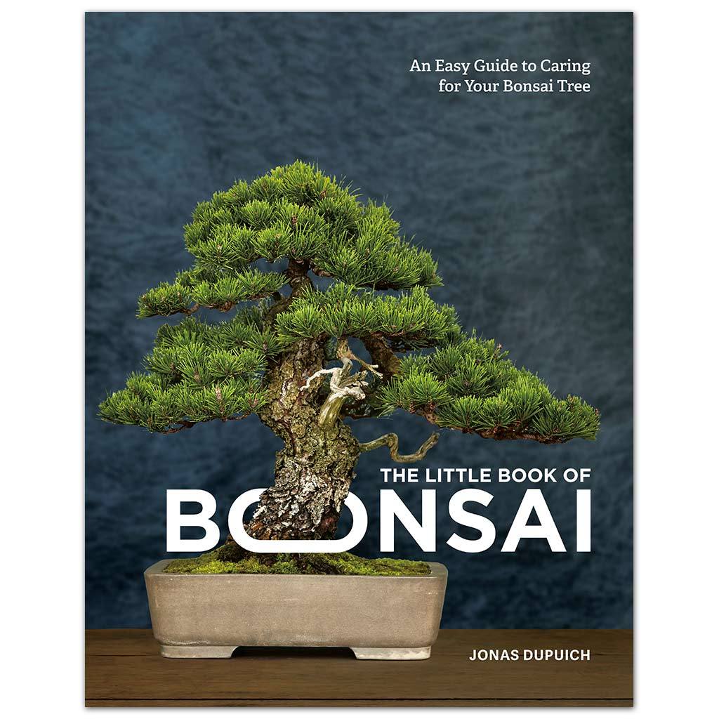 Just tilt the pot a little – Adam's Art and Bonsai Blog