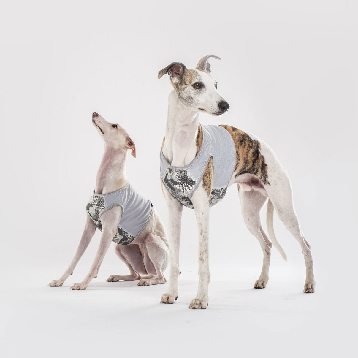 whippet cooling vest