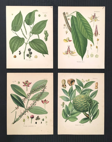 Prints, botanicals, flowers, flower prints9, floral prints, antique prints, home decor, home decorating, interior decor, wall decor, wall art, botanical prints, green, print set, for sale, art, calming,