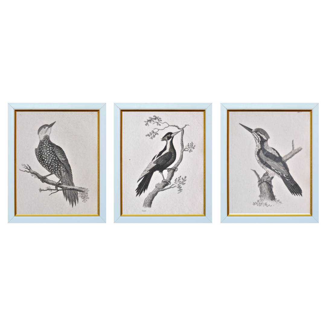 Three little birds, black and white, prints, blue frames, pale blue frame, artwork, for sale, print set, bird prints, small prints, wall decor, ideas, inspiration, boys room, children’s room, powder room art, bathroom art, kitchen art, classic,