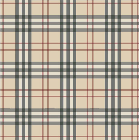 Burberry__4c6971da775b1_large.jpeg