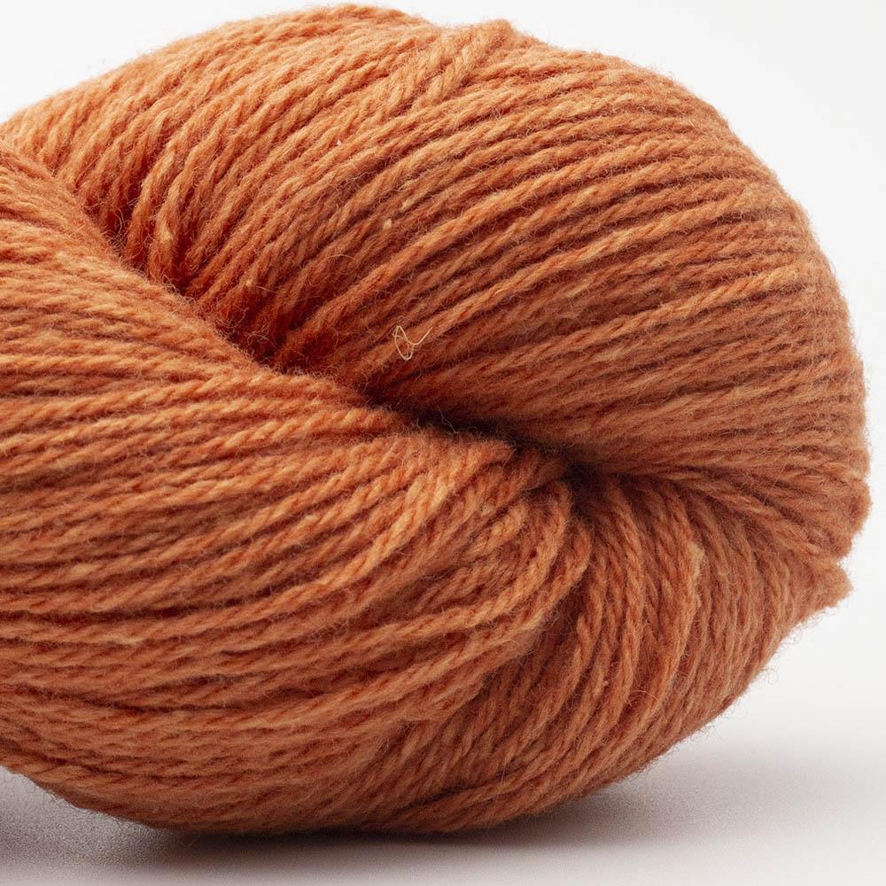 bio balance-orange 17