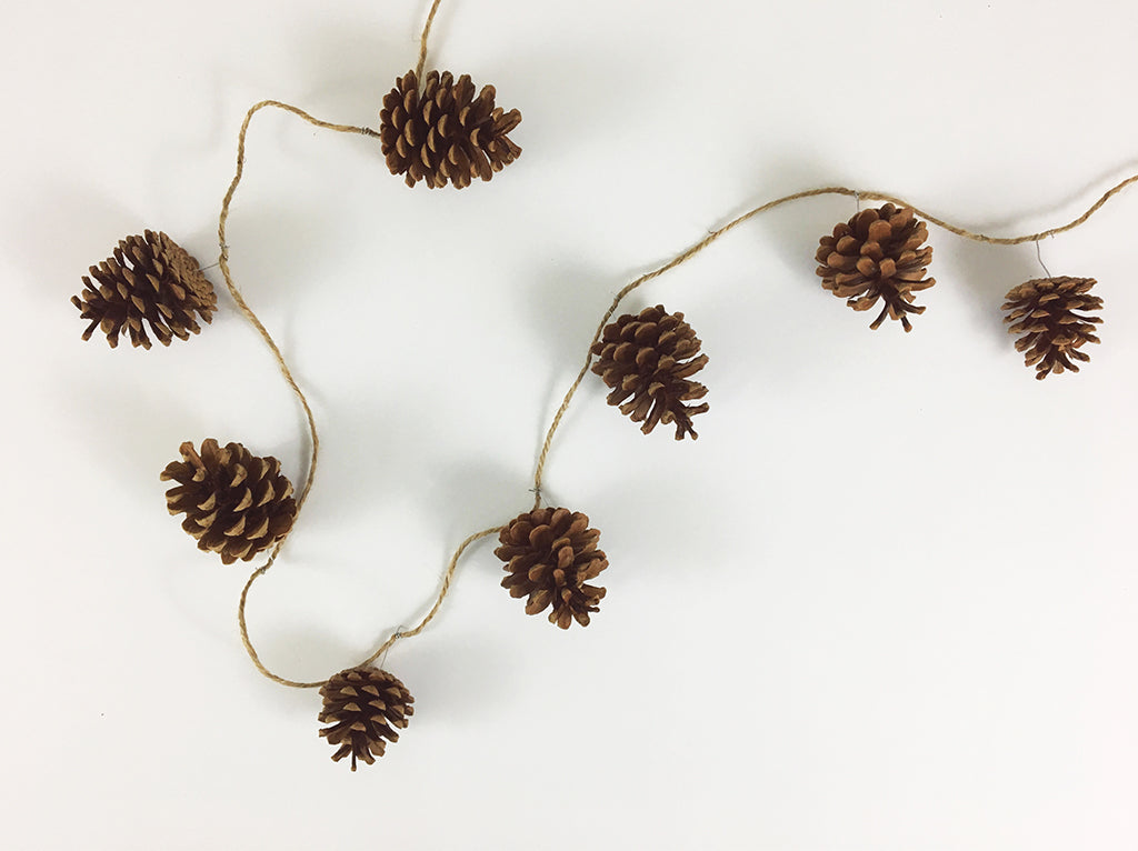 Blog DIY: Pinecone Garland