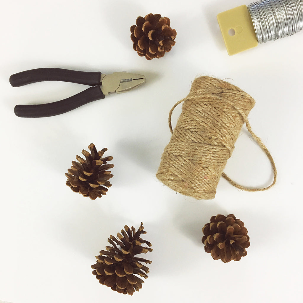 Blog DIY: Pinecone Garland