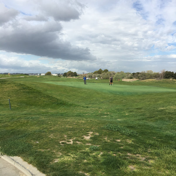 The Metro Golf Course