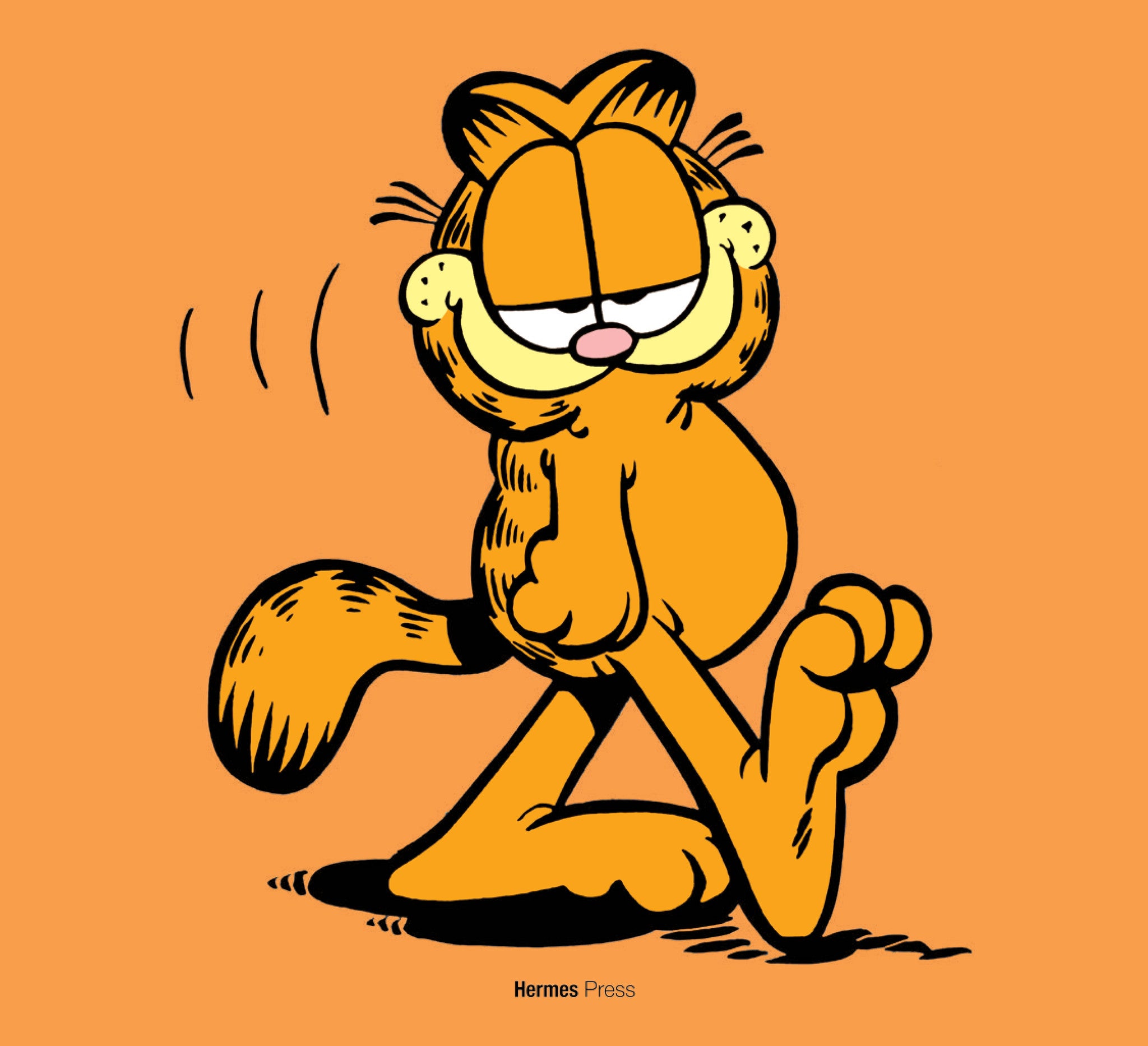 Image result for garfield