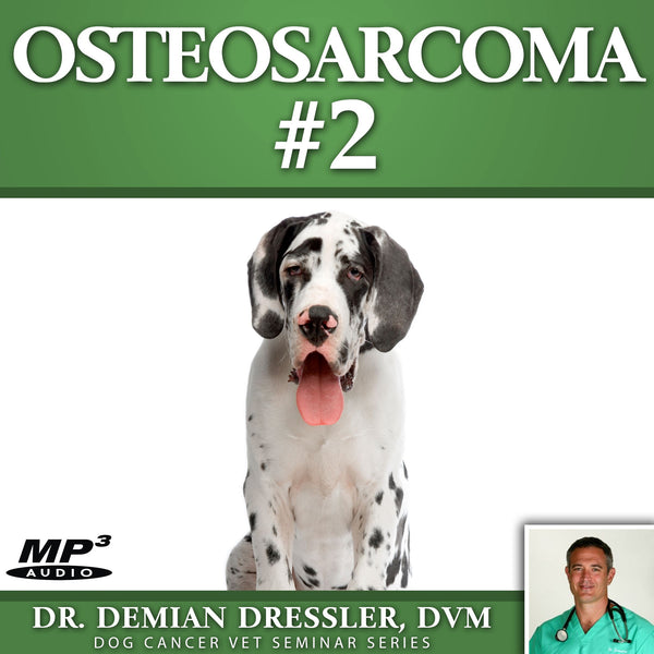 Osteosarcoma #2 MP3 - Dog Cancer Blog Store