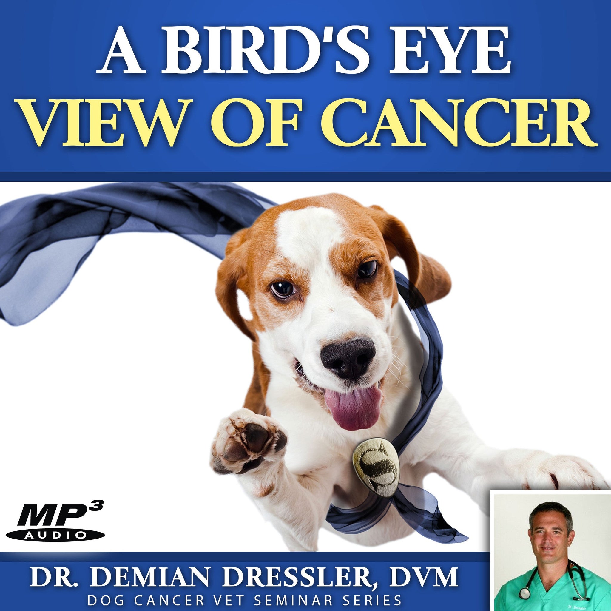 dr dressler dog cancer