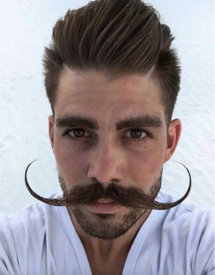 12 Best Beard Styles for Men in 2017  Pacinos Signature Line
