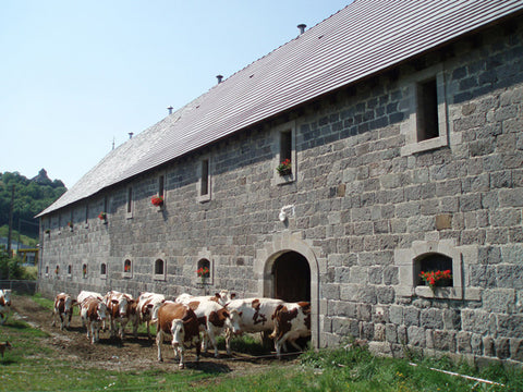 Auberge Cheese Route - a traditional stable
