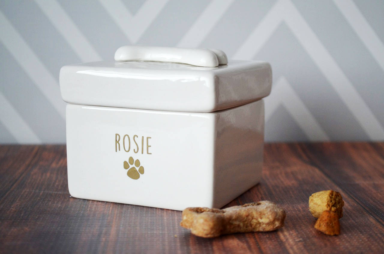 dog treat container