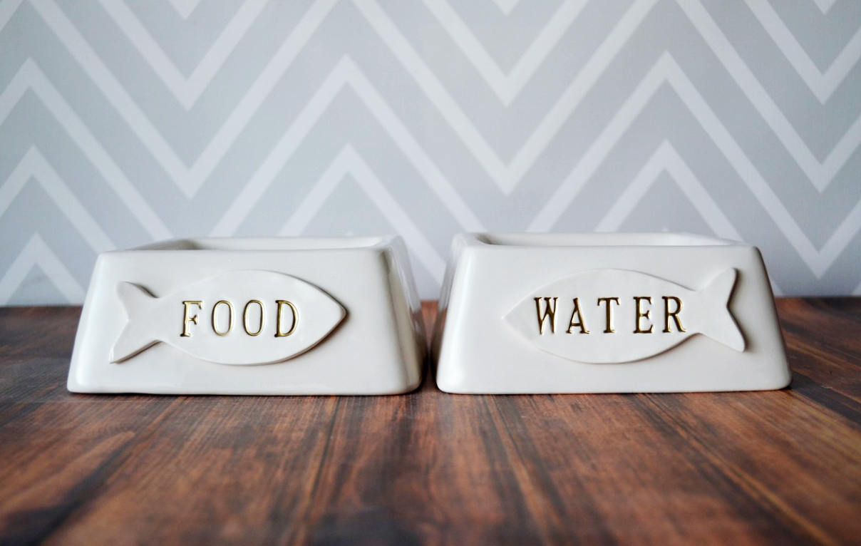 personalized cat food bowls