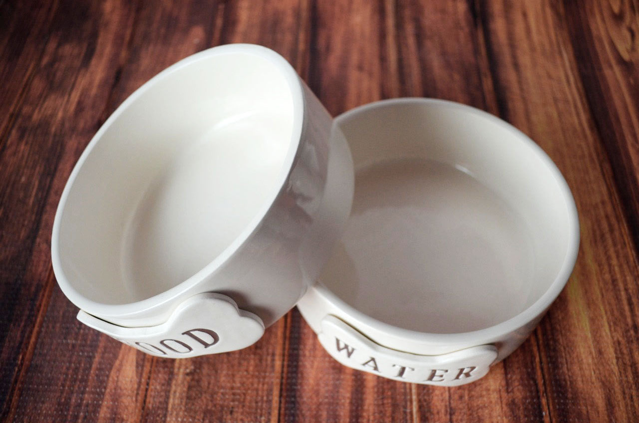 personalized ceramic dog bowls