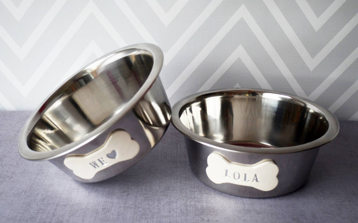 custom dog bowls