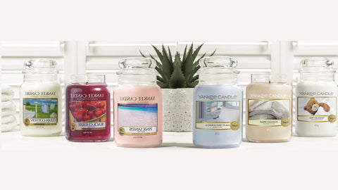 Save on Yankee Candle Fragranced Dried Lavender & Oak Wax Melts Order  Online Delivery