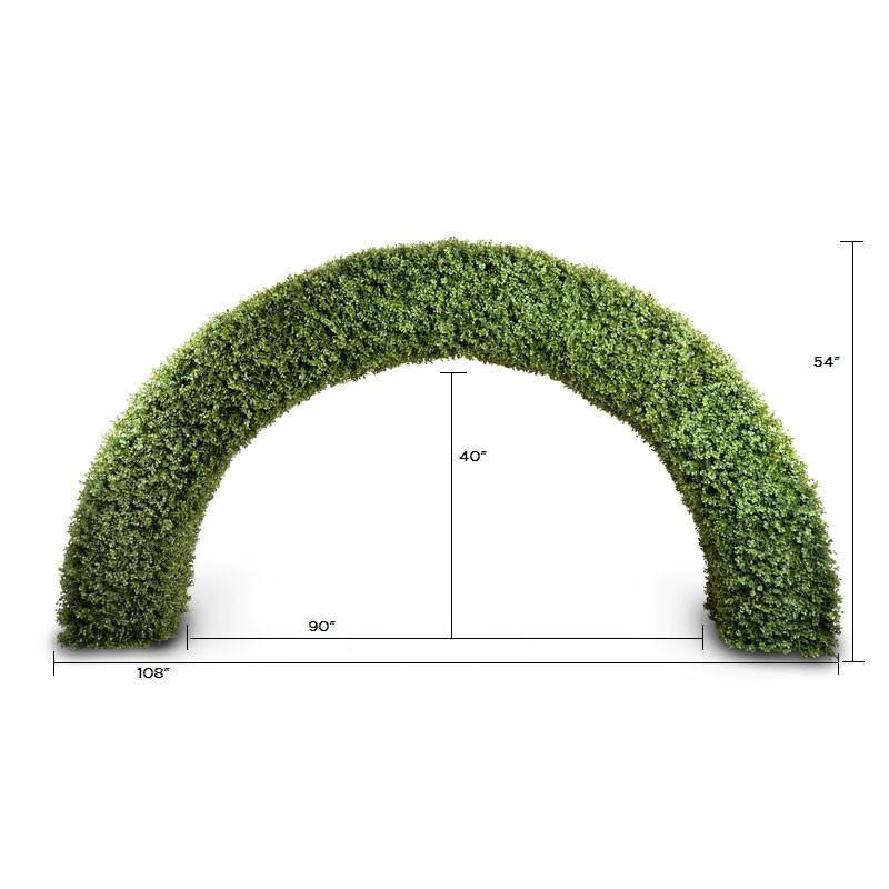 Boxwood Arc New Growth Designs