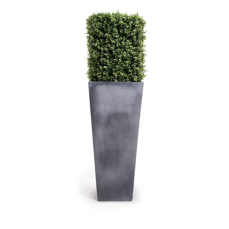 Boxwood Column in Pot - New Growth Designs