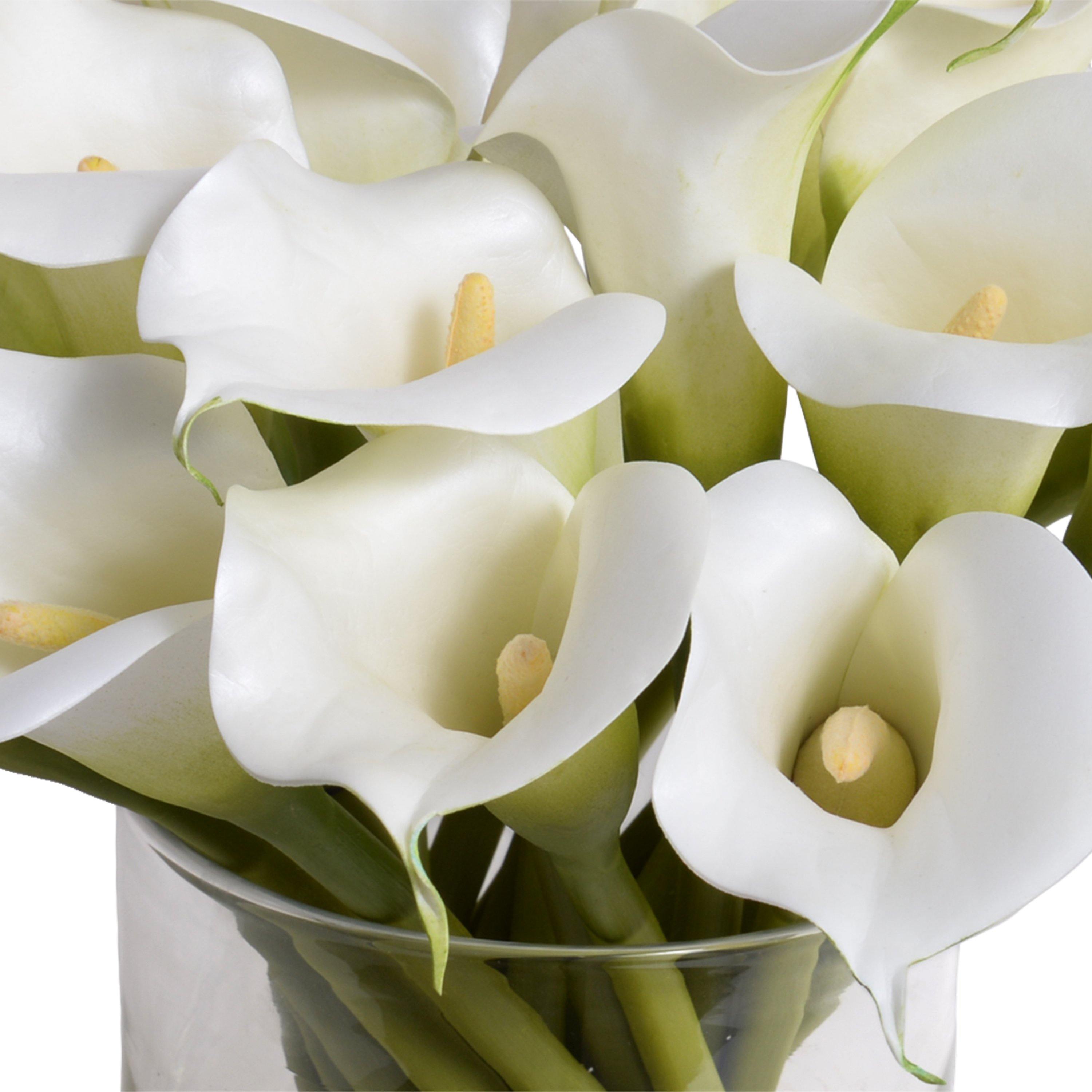 Calla Lily Arrangement In Glass White New Growth Designs   15051WH CU 