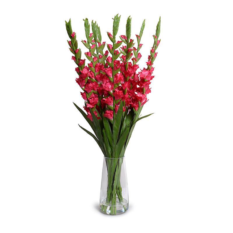 Hoa gladiolus được ví như nụ cười rực rỡ trên mảnh đất mùa hè, cùng ngắm nhé!