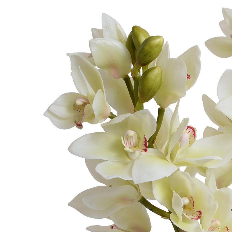 Cymbidium Orchid Arrangement White New Growth Designs