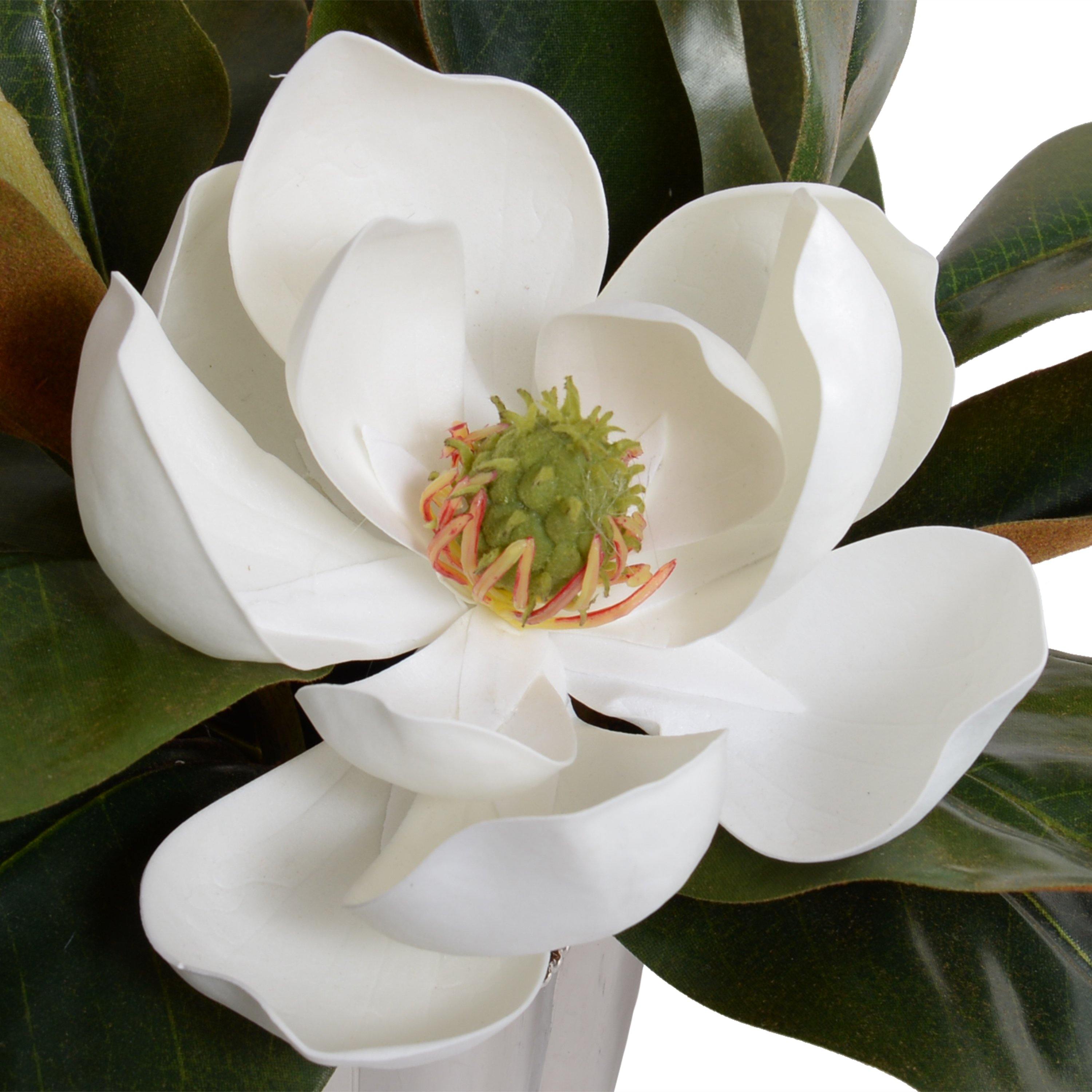 Magnolia with Bloom in Julep Cup - New Growth Designs