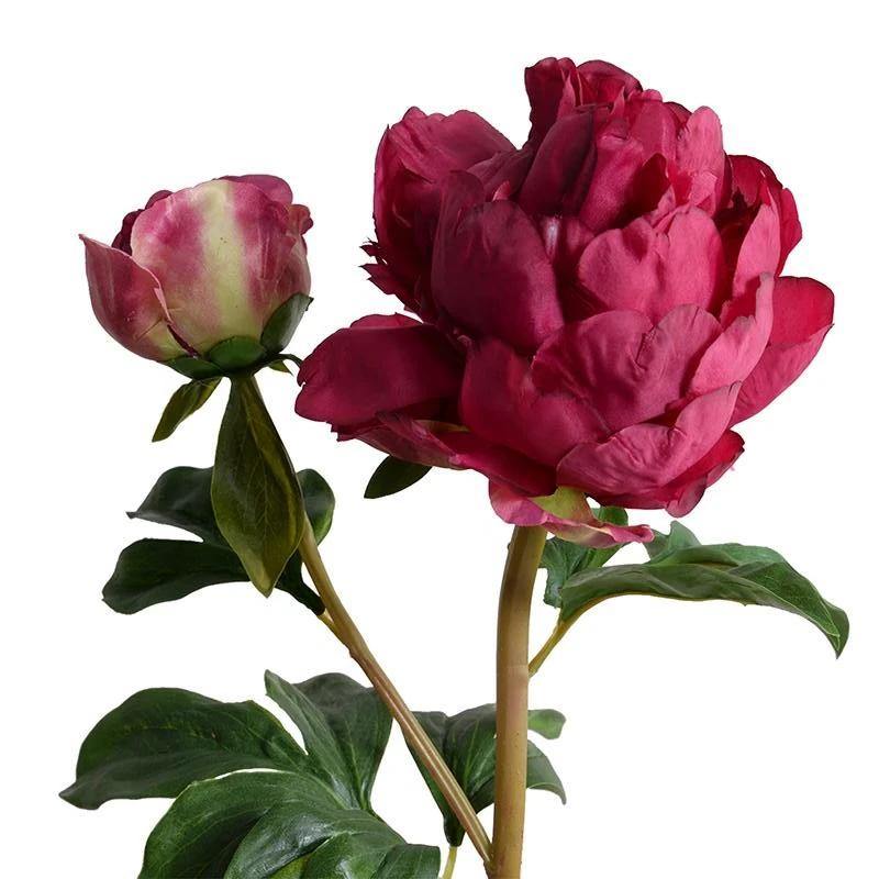 Peony Stem with Bud, Large – New Growth Designs