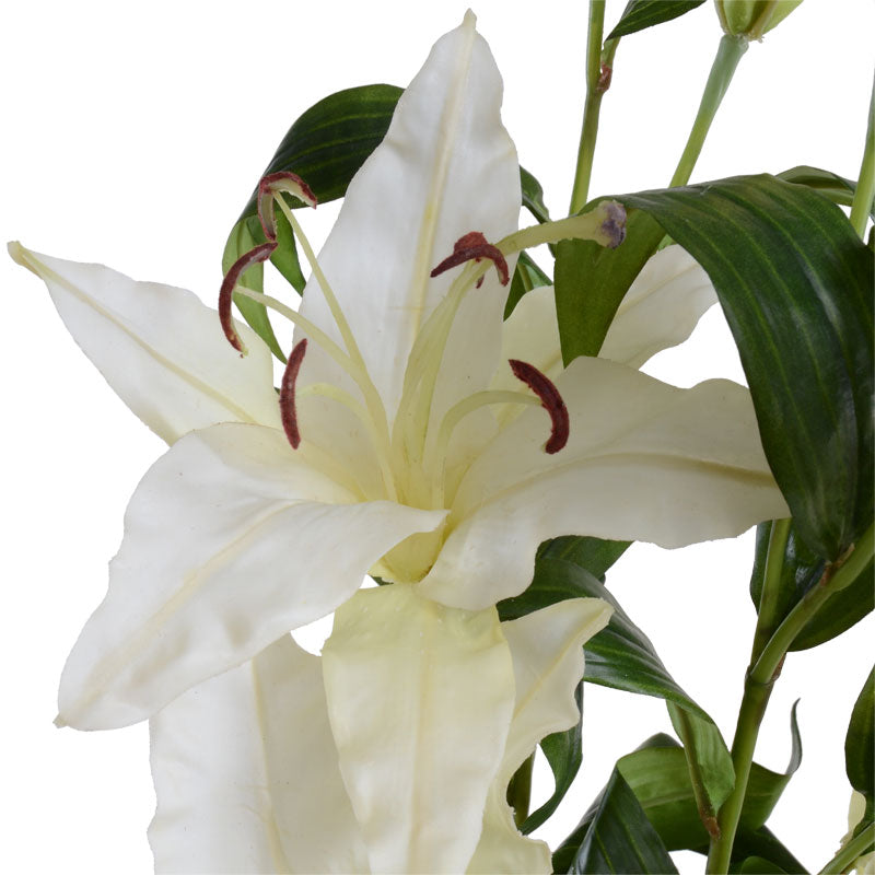 Casa Blanca Lily Spray, 41" L New Growth Designs