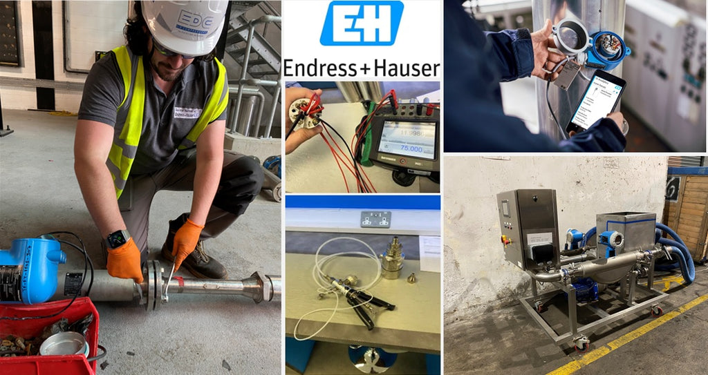 endress and hauser calibration specialists